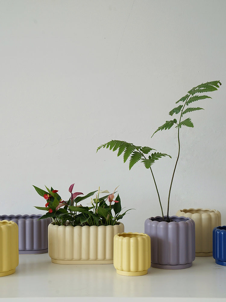 Biscuit Design Ceramic Planter With Tray