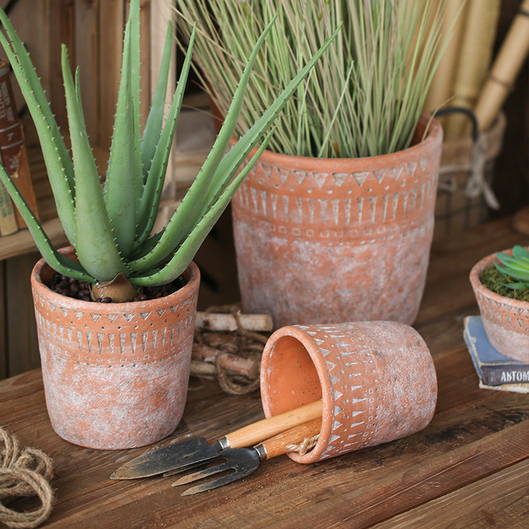 African earthenware cultivation in vintage terracotta pots