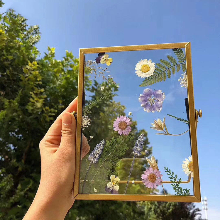 Creative Retro Stereo Diy Plant Specimen Photo Frame