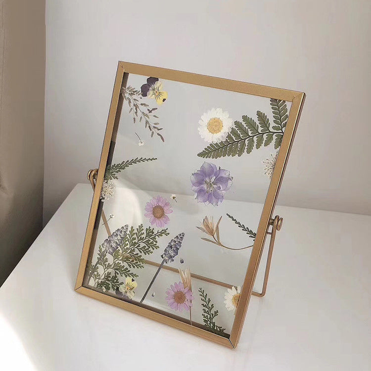 Creative Retro Stereo Diy Plant Specimen Photo Frame