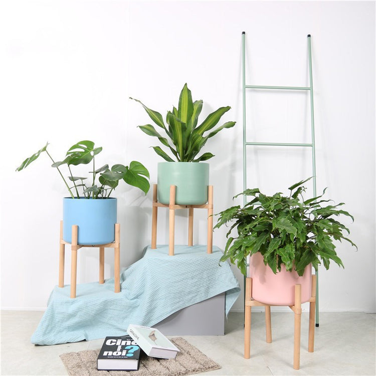 Coloured Matt Ceramic Plant Pots With Wooden Stands