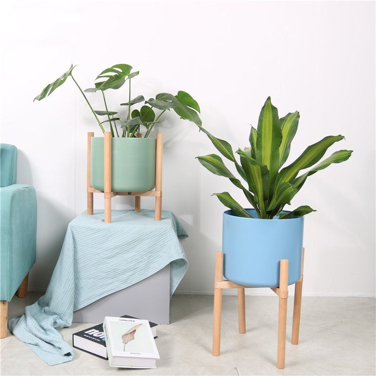 Coloured Matt Ceramic Plant Pots With Wooden Stands