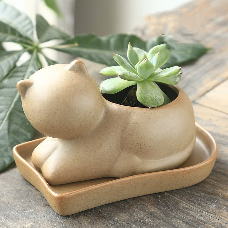 Stoneware potted plant