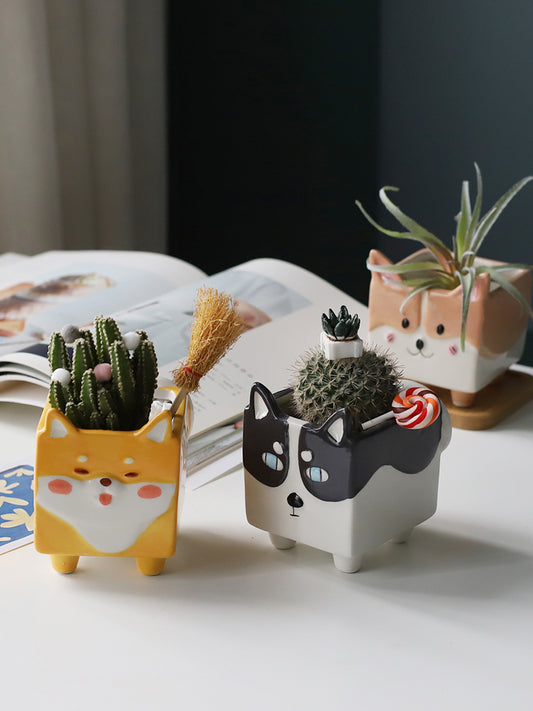 Creative Personality Cute Small Ceramic Flowerpot