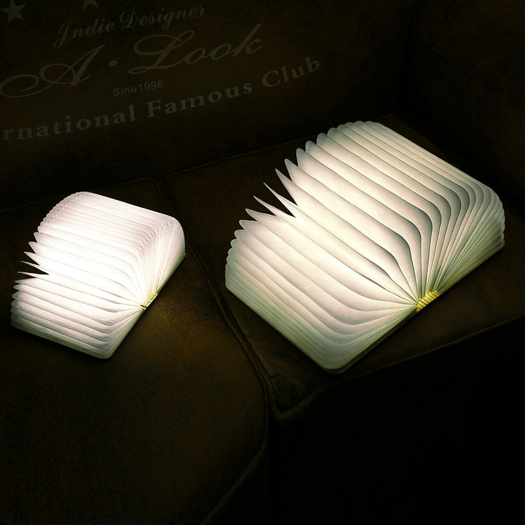 Luminate Light Book