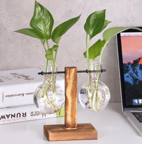 Glass Wood Vase Table Desktop Hydroponics Plant Stationery Bonsai Flower Pot Decoration Hanging Pots with Wooden Tray Pen Holder