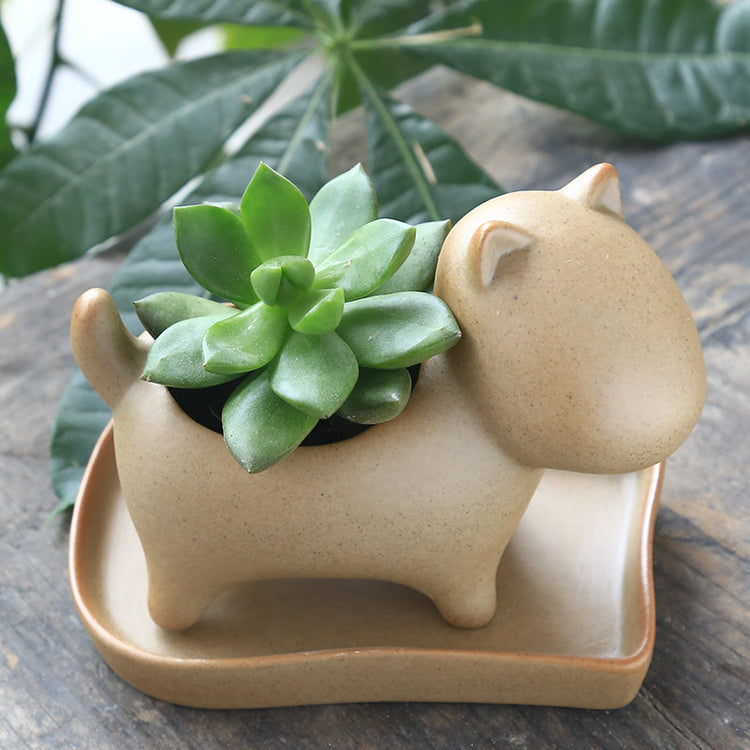 Stoneware potted plant