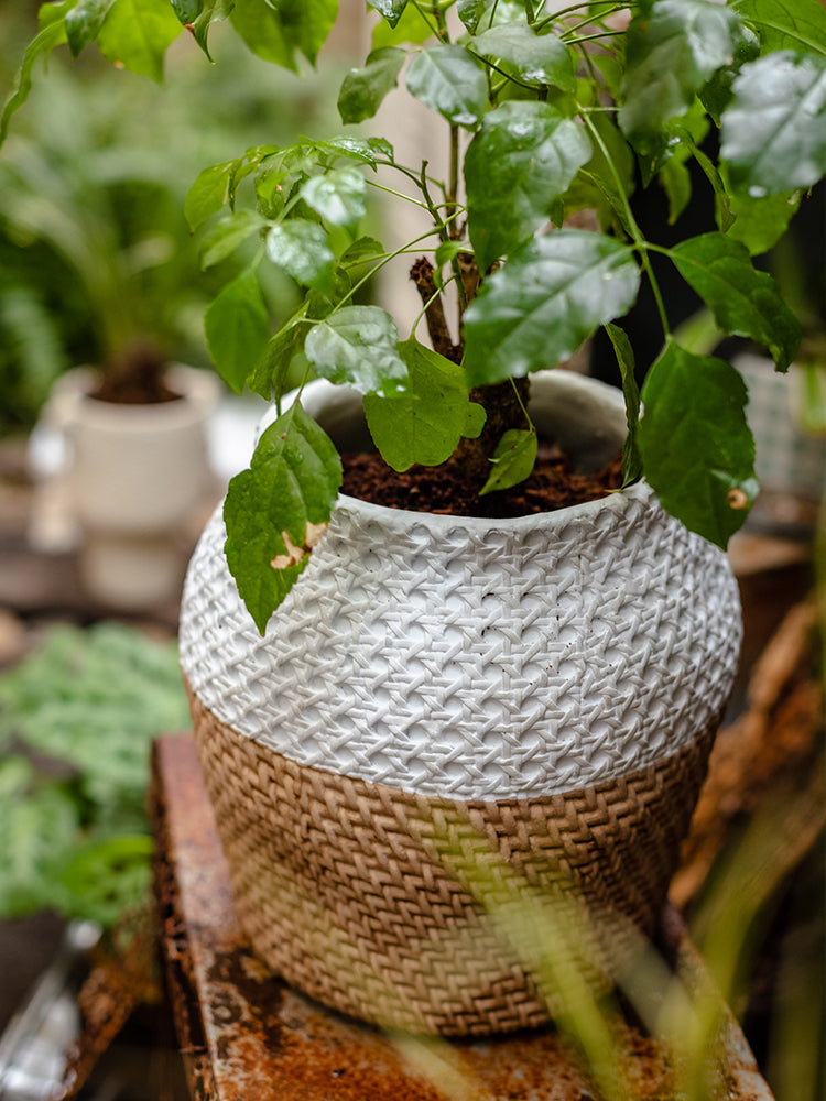 Potted Plant Set Pot Balcony Garden Sundries Ornaments