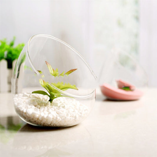 Large Beveled Glass Vase Creative Micro Landscape Ecological Bottle