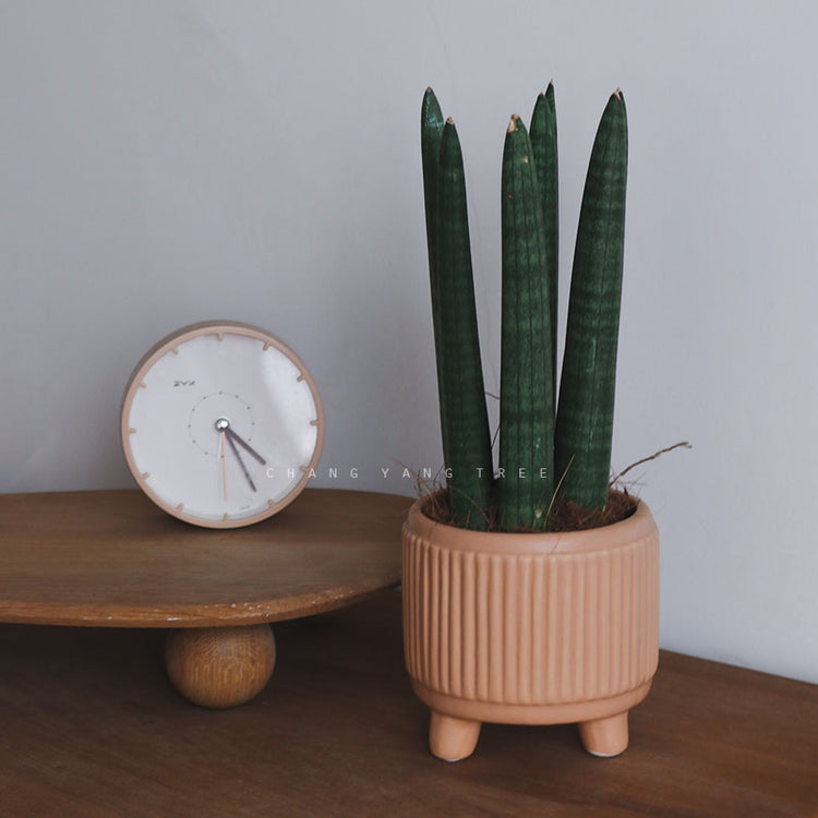 Three-legged Ceramic Flowerpot With Feet