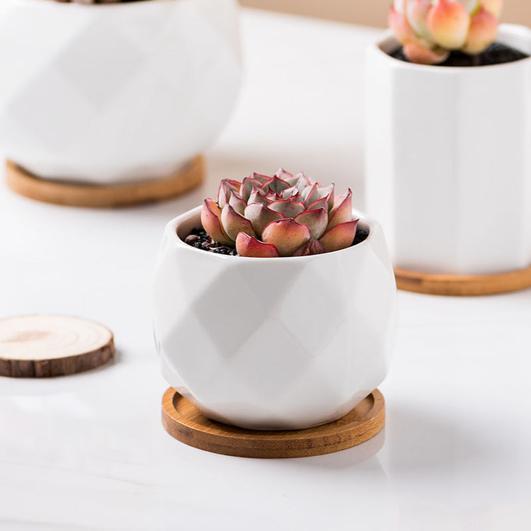 Creative Simple Succulent Plant Pot White Ceramic Pot