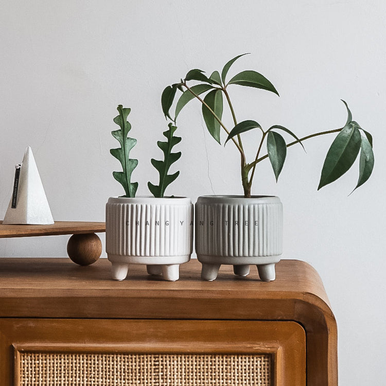 Three-legged Ceramic Flowerpot With Feet