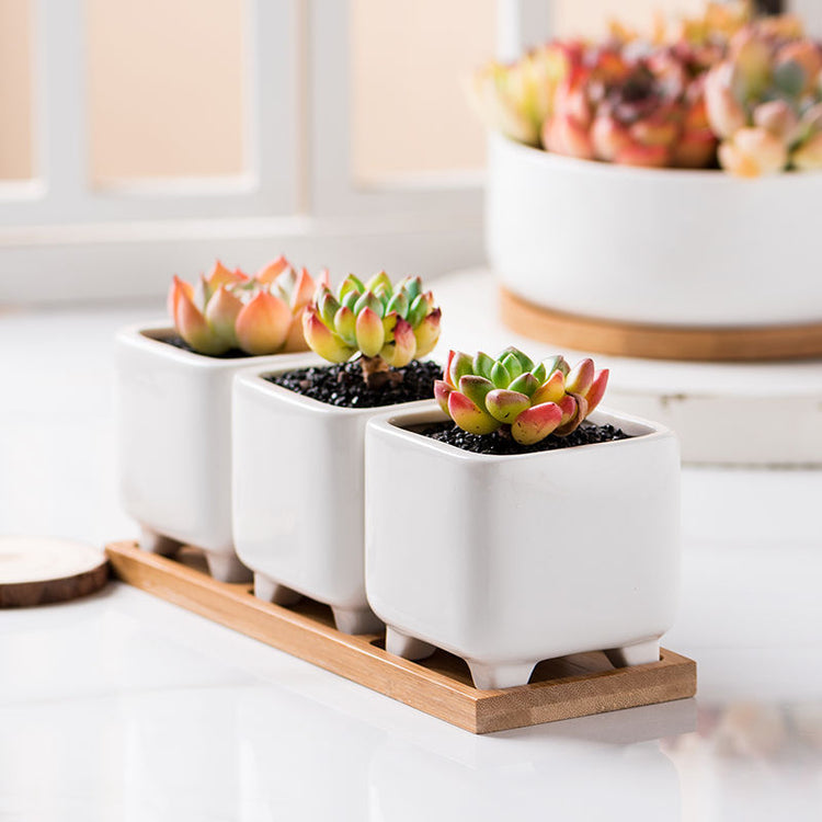 Creative Simple Succulent Plant Pot White Ceramic Pot