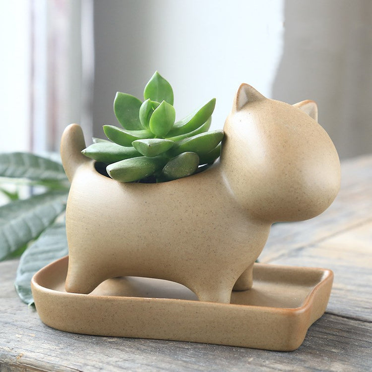 Stoneware potted plant