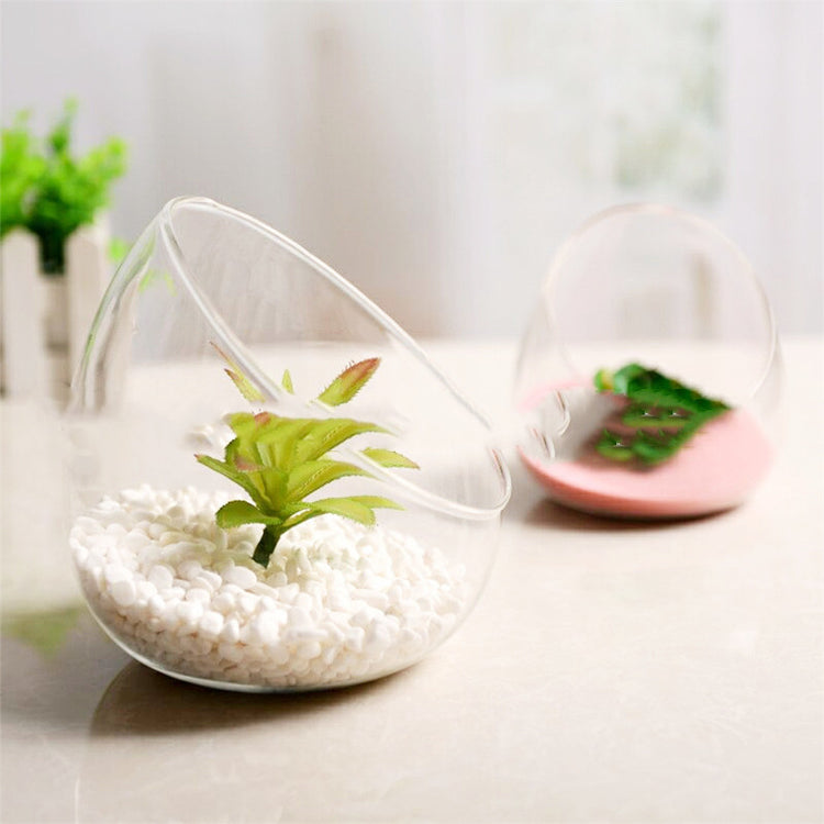 Large Beveled Glass Vase Creative Micro Landscape Ecological Bottle