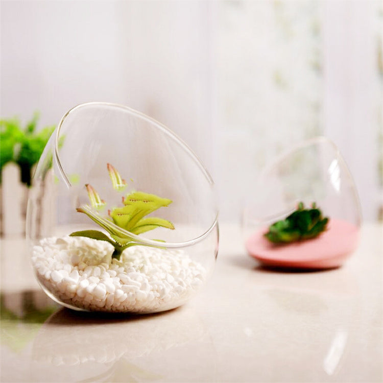 Large Beveled Glass Vase Creative Micro Landscape Ecological Bottle