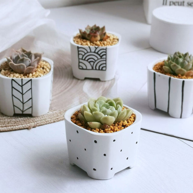 Japanese Simple Ceramic Succulent Flower Pot Green Plant Pot Container